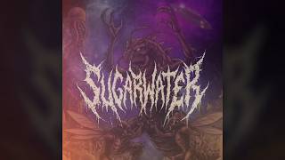 SUGARWATER - EDGAR [OFFICIAL LYRIC VIDEO] (2026) SW EXCLUSIVE