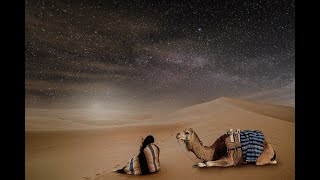 DESERT WIND | Desert winds and camels ambience | White Noise screenshot 5