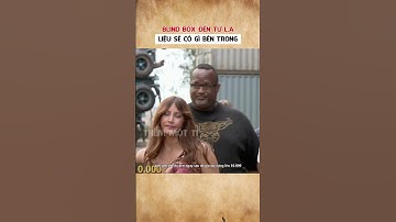 Blind box đến từ LA sẽ có gì bên trong #blindbox #container #khampha #haihuoc #shorts