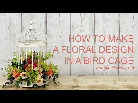 how-to-make-a-coral-flower-design-in-a-bird-cage---wholesale-flowers-direct