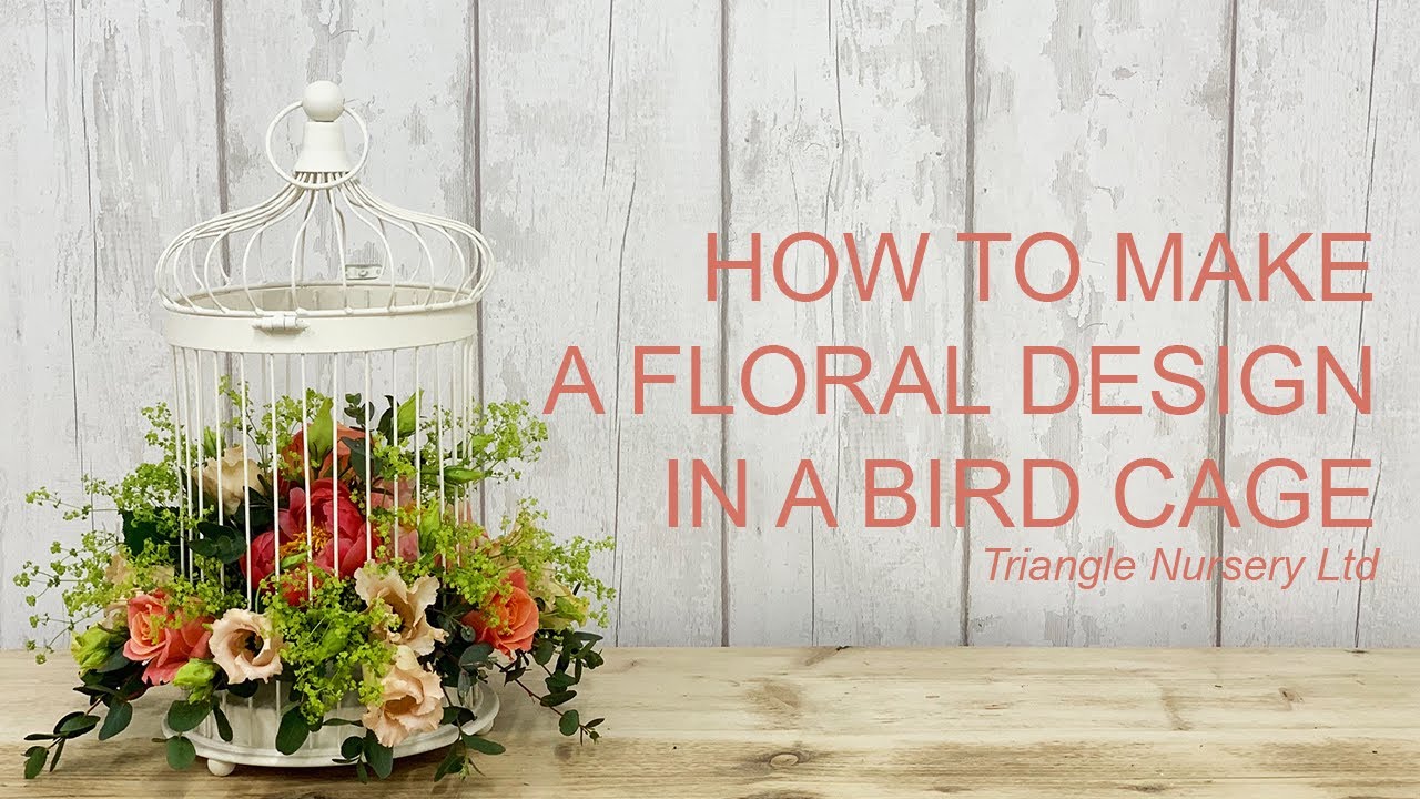 Diy Coral Blooms In A Bird Cage For Weddings The Flower Hub diy coral blooms in a bird cage for
