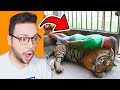 SOLO I MASCHI CAPIRANNO QUESTO VIDEO !
