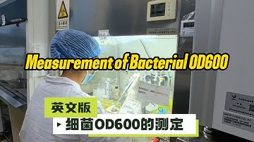 Measurement of Bacterial OD600