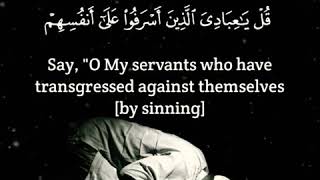 Surah zumar by shaik mishary Rashid Al Afasy