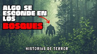 LOS BOSQUES AMERICANOS ESCONDEN TERRIBLES SECRETOS / 6 Historias de Terror