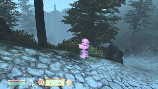 Oblivion Frame Rate and Video Render Test