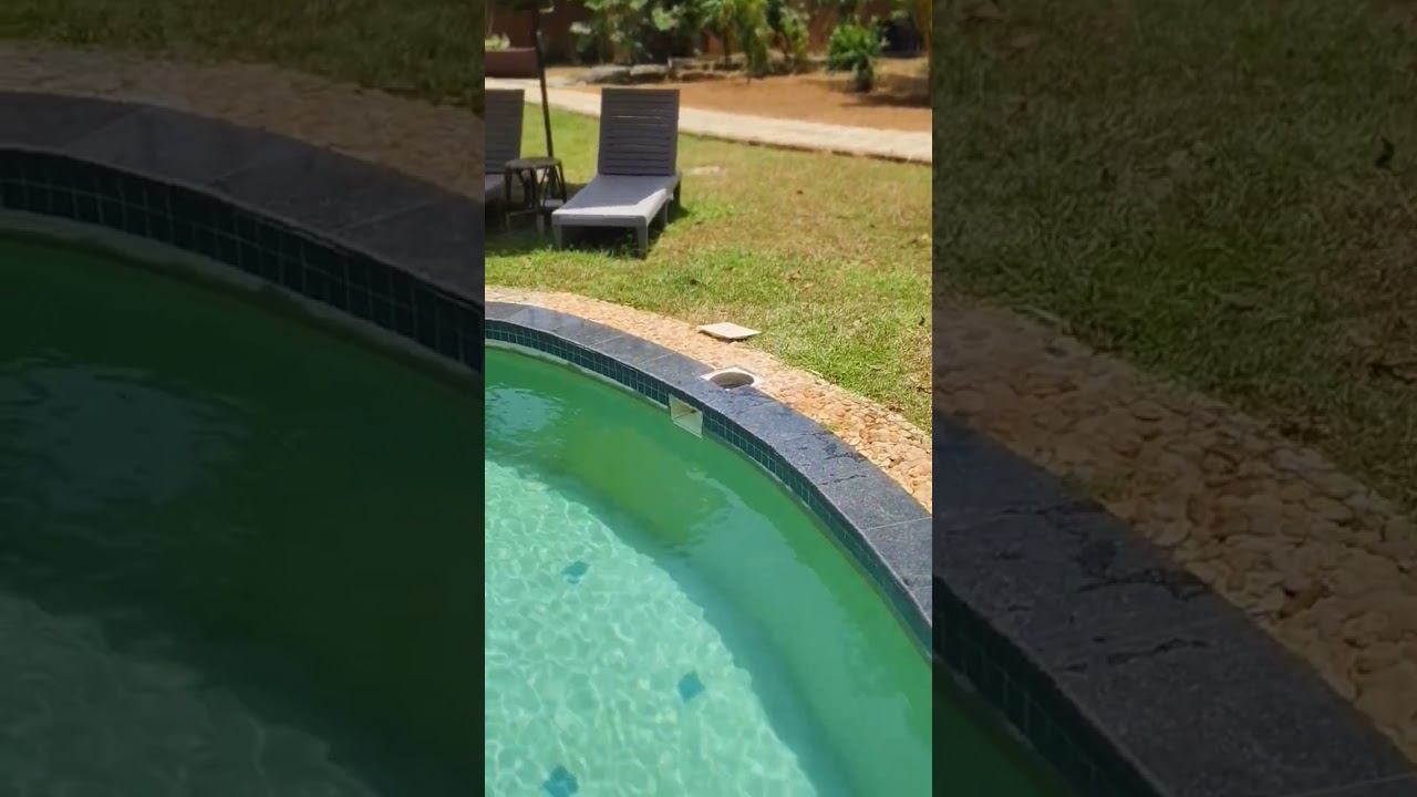 skimmer pool swimming pool