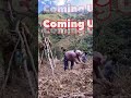 comming Up Vlog 🥳🥳🥳