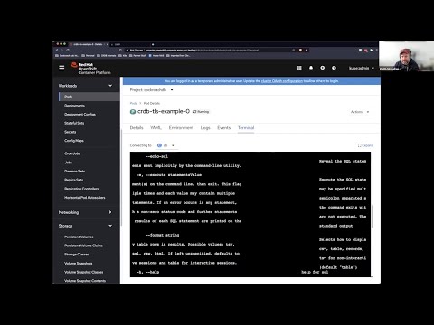 How to get started with Kubernetes on CockroachDB | k8s Operator
