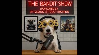 New Year’s Eve Fireworks: How to Keep Your Dog Calm, Safe, and Inside