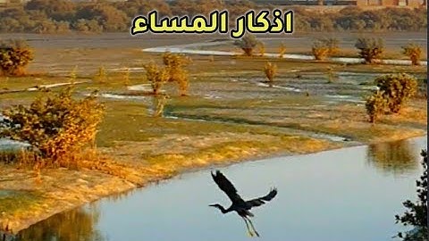 اذكار المساء (التلاوة بصوت سعد الغامدي ووديع اليماني) Citation for Evening  - Athkar Al Masa'a