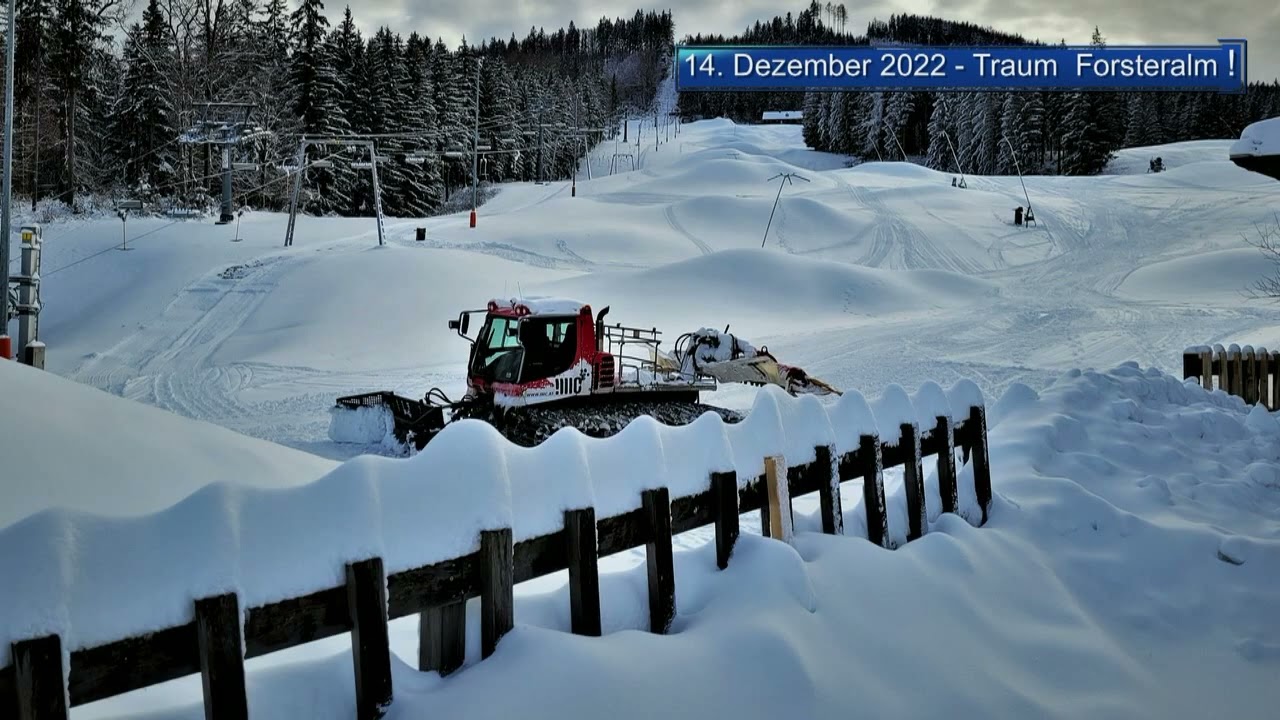 Forsteralm 14  Dez  2022
