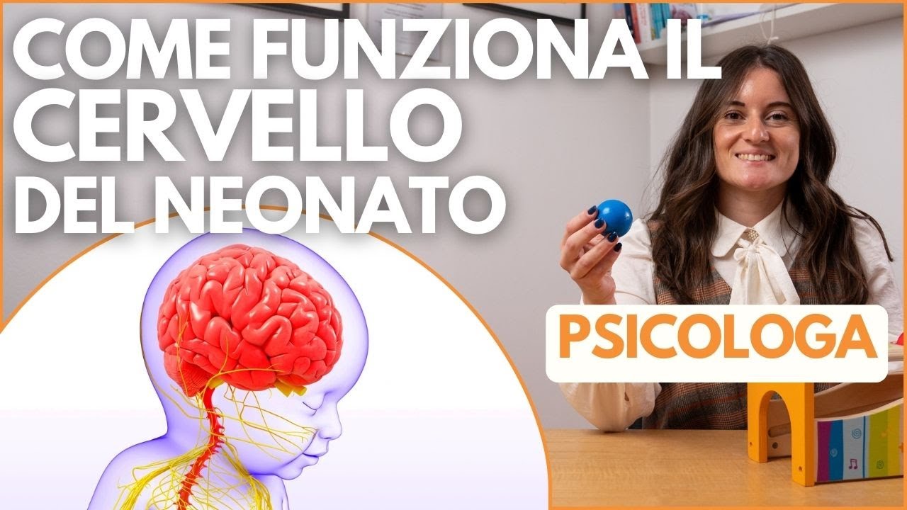 COME FUNZIONA il CERVELLO del NEONATO e del BAMBINO durante lo SVILUPPO