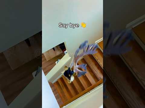 MY CARIBOU MASK BROKE Therian Therianmask Catmask Alterhuman Quadrobics Animalmask Harpyhare