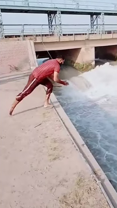 Dive