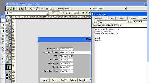 Oracle Form Function (In Urdu)