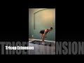 Envision fitness  tricep extension