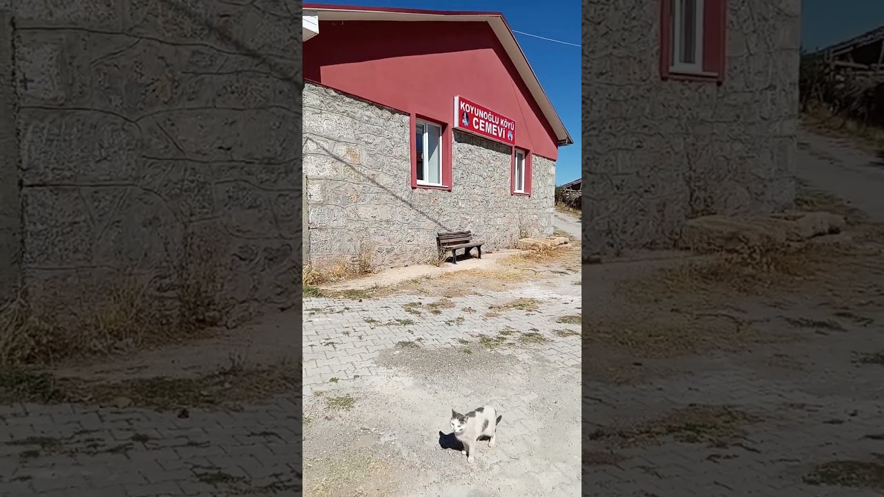 Koyunoğlu Köyü Cem Evimiz tanitimi 