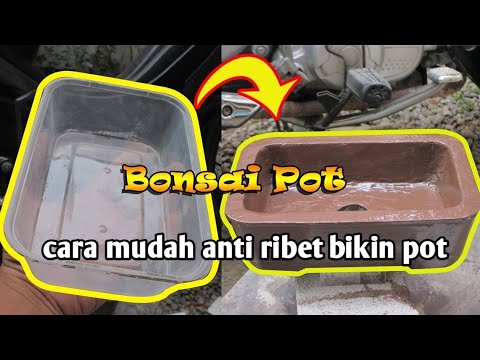 CARA MUDAH membuat pot bonsai tanpa ribet 1 hari jadi