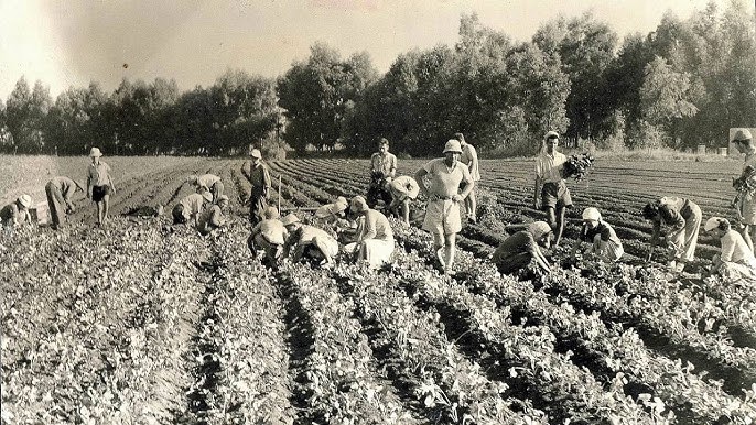 History of agriculture, conservation and environmentalism