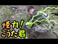 【釣りよか】一同驚愕のパワーを見せるこうた君【切り抜き】