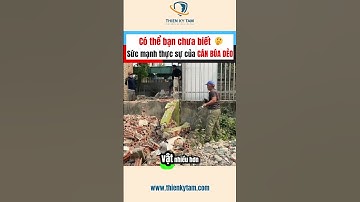 Sự thật về BÚA CÁN DẺO bạn nên biết! #viral #thuocphim