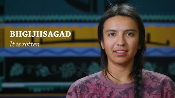 Biigijiisagad = It is rotten wood (Ojibwe Word of the Day)