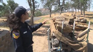 Why defensible space is key to protecting your home from wildfires