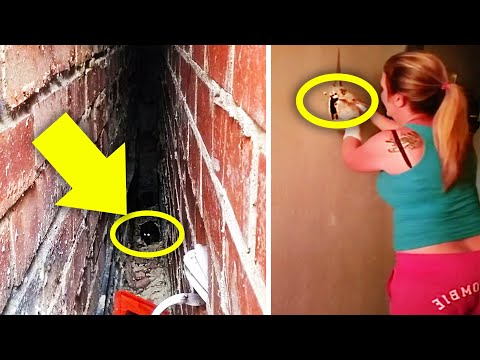 Woman Hammers Down Her Wall To Unravel The Source Of Weird Sounds Inside Her House