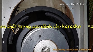 Loa Karaoke chất lượng tuyệt.giá mềm