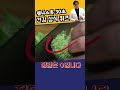 브로콜리를 잘 먹는 방법 #브로콜리 #항암효과 #항암음식