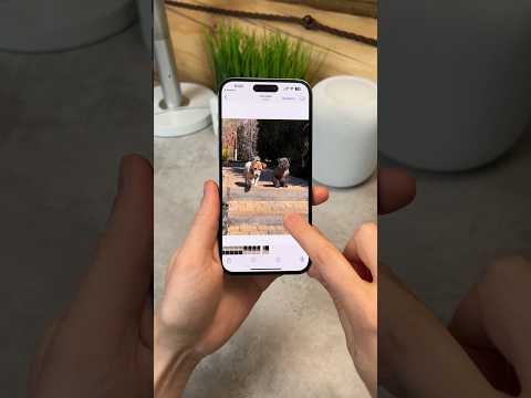 ТОП фишек камеры iPhone