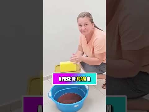 أفضل أم في العالم