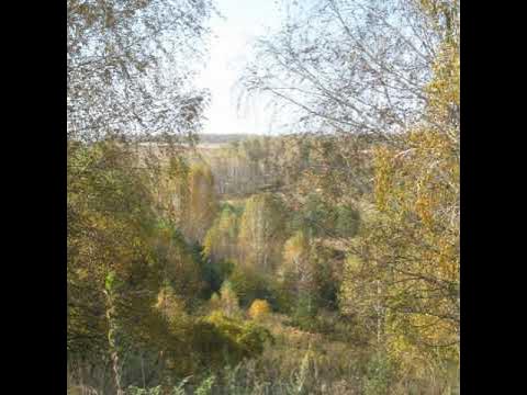 озеро на мельяковке. заброшенные деревни погарского района брянской области. озеро в новоселках брянской области. новоселки брянская область. село новоселки брянская область.