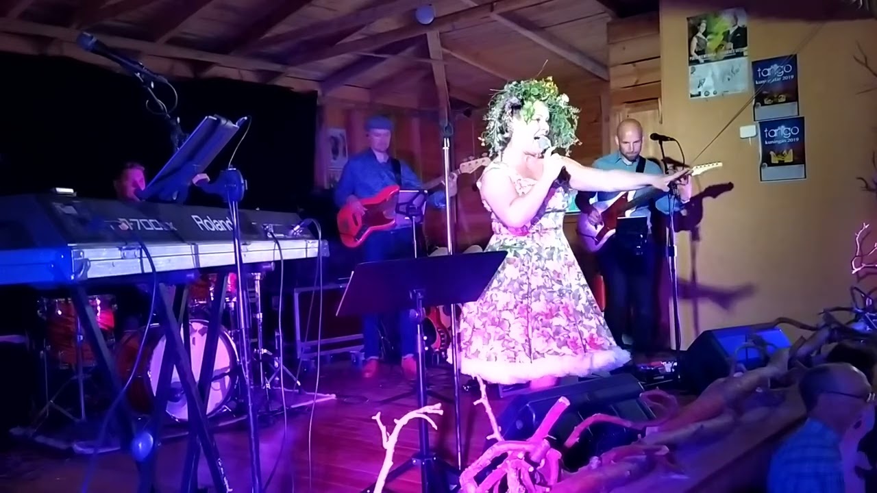 Heidi Pakarinen - Villi varsa