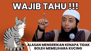 Jangan Pelihara Kucing! Memelihara Kucing Bisa Membahayakan Akhirat Anda! Temukan Jawabannya disini!