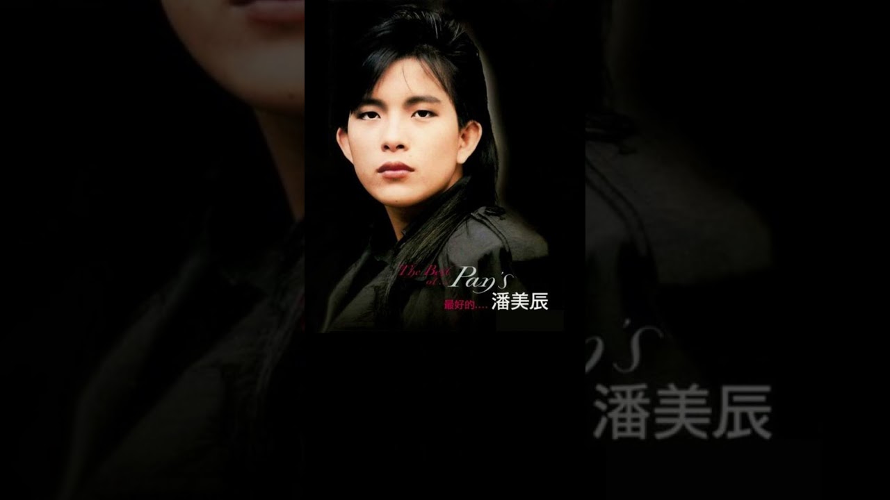 潘美辰 《我曾用心爱着你》 [歌词/lyrics - 情感音樂 推荐经典老歌 #shorts