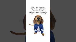 Why Do Hockey Players Fight? (Explained by Dog) #NHL #Hockey #Dog