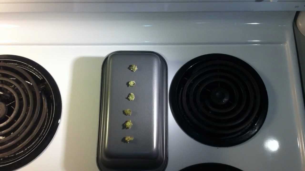 KUSH QUEBEC #3 tasting the Confidential Cheese