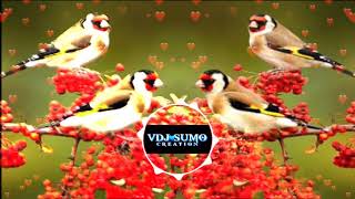 Video By:  Vdj Sumo[]Kodi Aruvi[]Song Remix By: Dj Varun And GRC Ent