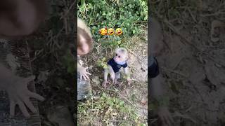 Famous "Monkey Madness: A Close-Up Look at Our Primate Cousins" Profile