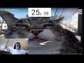 Google Earth Cat Speedrun (WR)