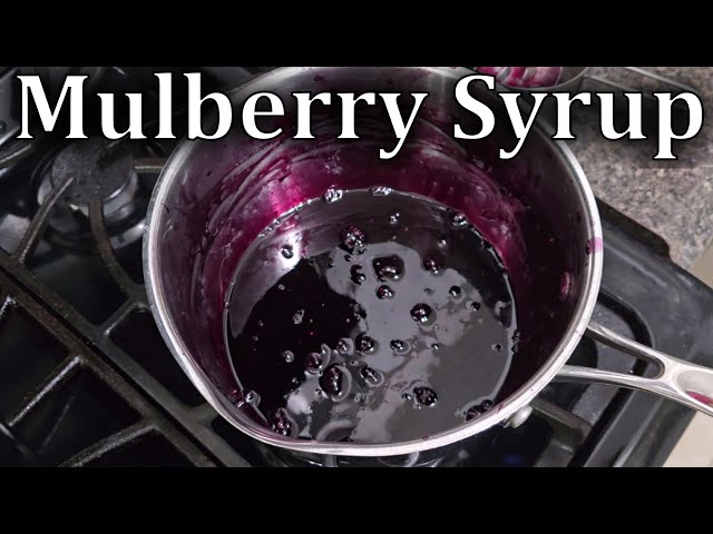 How To Make A Stunning Mulberry Syrup class=