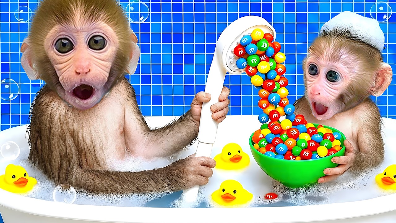 Abe BonBon blev meget overrasket, da den søde lille and kom med en kæmpe regnbuegodtepose