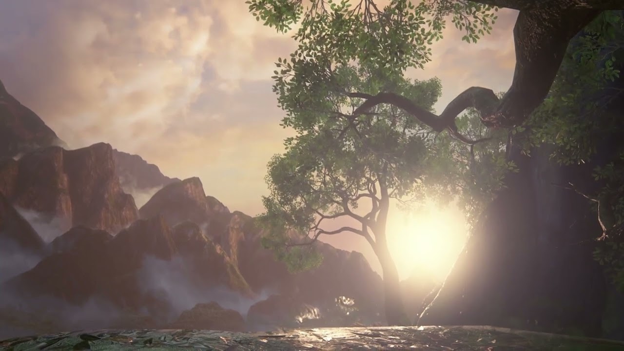 MUHTEŞEM RAHATLATAN DOĞA SESLERİ RÜZGAR VE KUŞLAR 2K