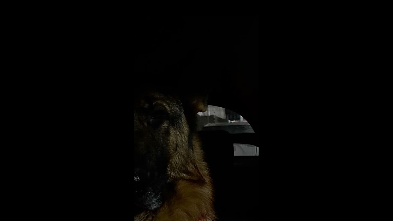 CHEMICAL DETECTION - M1 GARROTTE