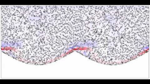 Lattice Boltzmann model of flow over a ripple