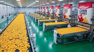 Inside a Modern Corn Flakes Factory: From Raw Corn Grits to Breakfast Cereal (Full Process)