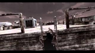 Shine | COD4 Wealth