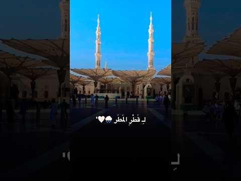 كشوق الليالي لضوء القمر